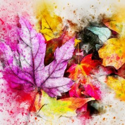 AUTUMN LEAVES SPLASH OUT